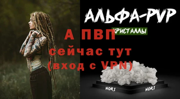 spice Белокуриха