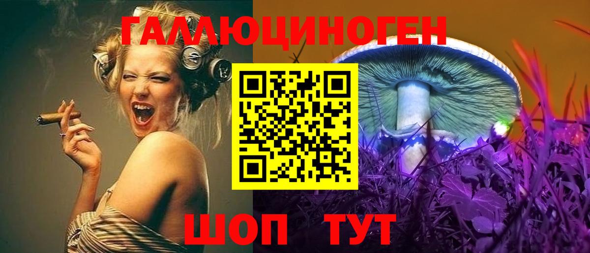 Обь  Псилоцибиновые грибы GOLDEN TEACHER  Вход с VPN  Галлюциногенные грибы Psilocybine cubensis 