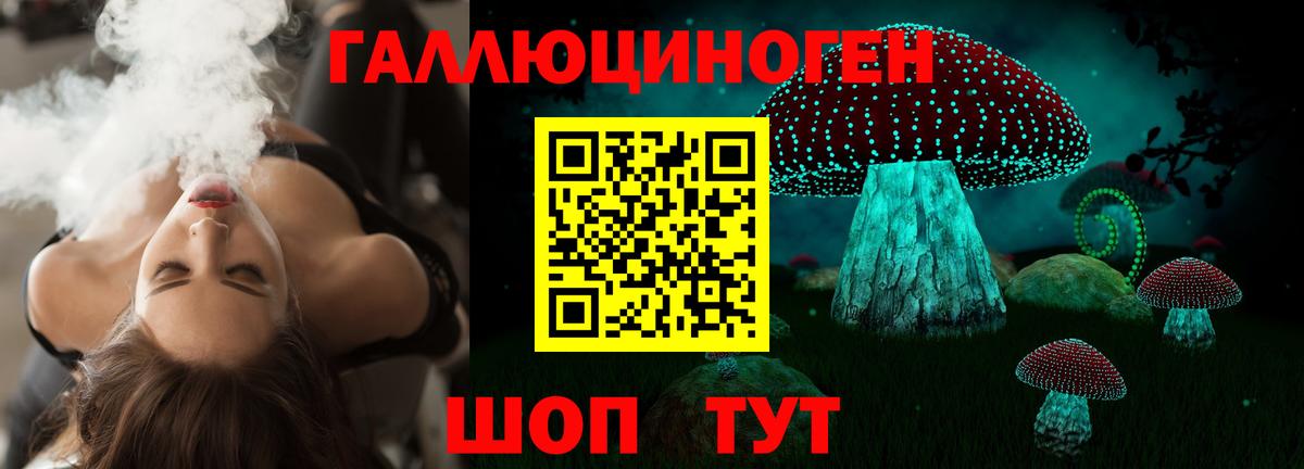 Псилоцибиновые грибы мухоморы Обь