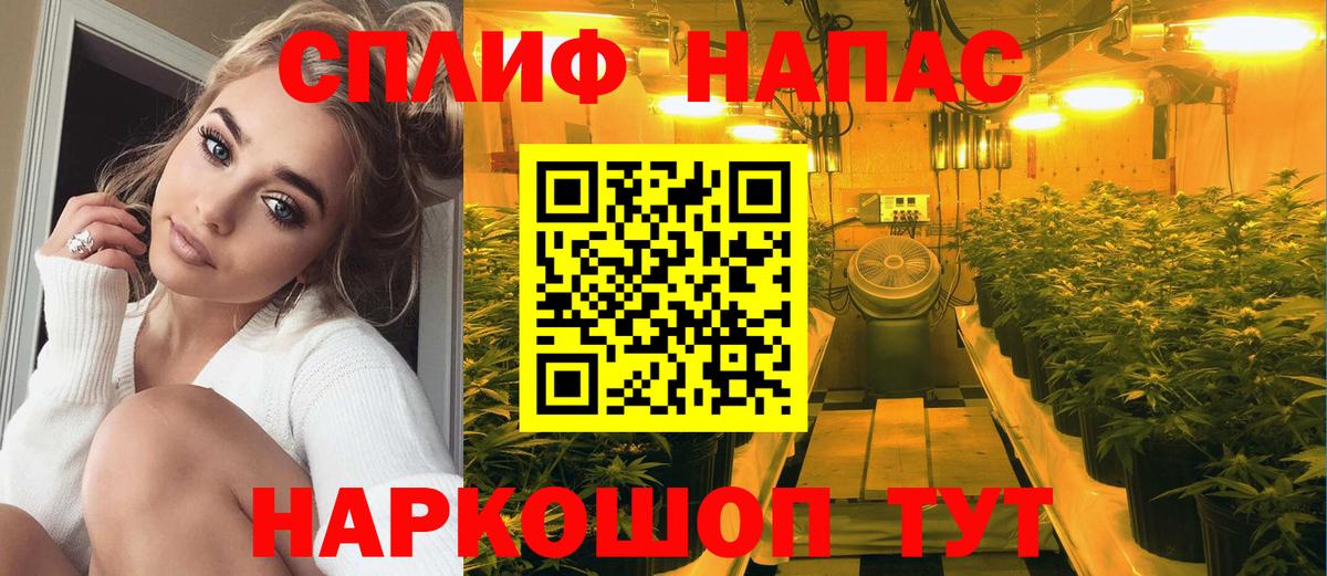Каннабис MAZAR  Бошки Шишки Bruce Banner  Вход с VPN  Бошки Шишки Ganja  Обь 